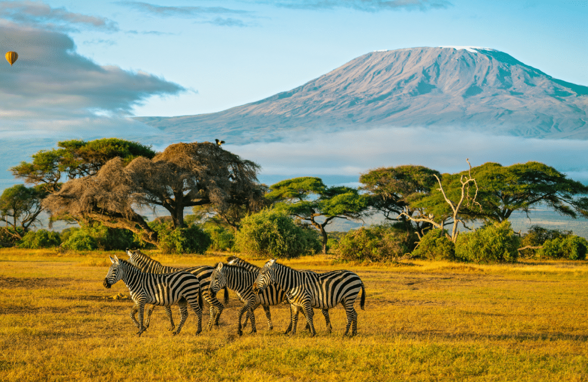 PREMIERĂ în turism. Paralela45 aduce în piața din România zboruri charter cu aeronave Dreamliner către destinații exotice 